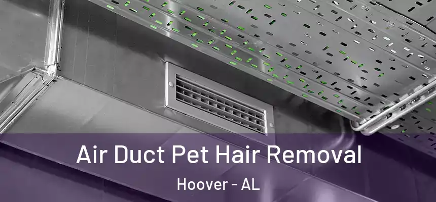 Air Duct Pet Hair Removal Hoover - AL