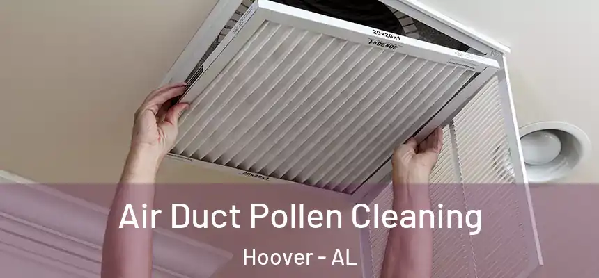 Air Duct Pollen Cleaning Hoover - AL