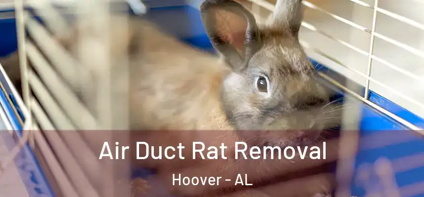 Air Duct Rat Removal Hoover - AL