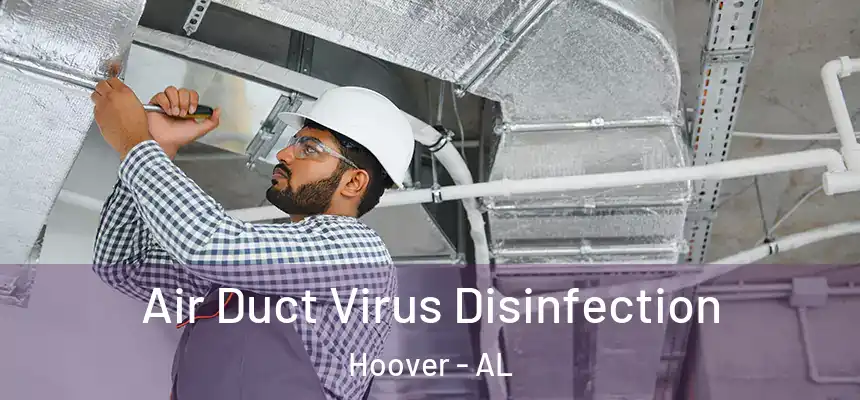  Air Duct Virus Disinfection Hoover - AL