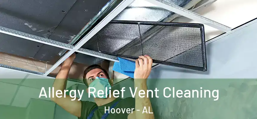 Allergy Relief Vent Cleaning Hoover - AL