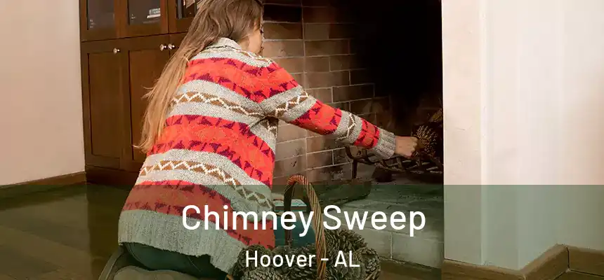 Chimney Sweep Hoover - AL