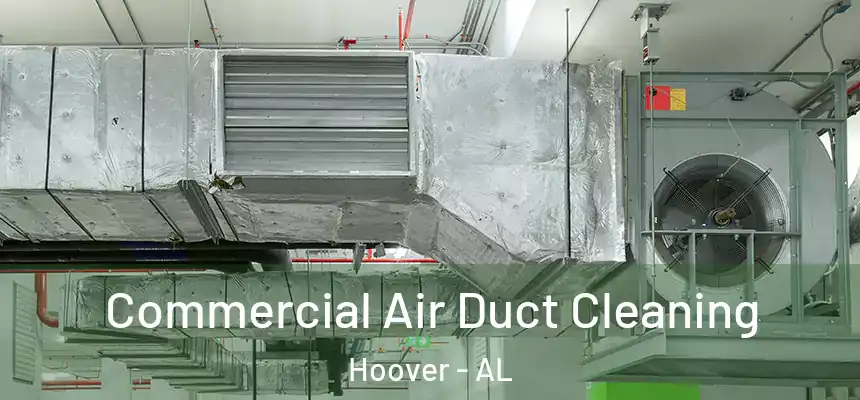  Commercial Air Duct Cleaning Hoover - AL