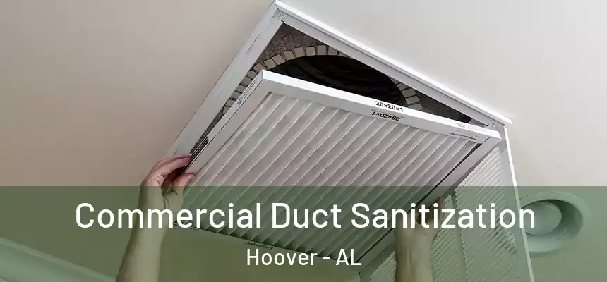 Commercial Duct Sanitization Hoover - AL
