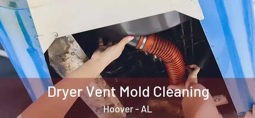 Dryer Vent Mold Cleaning Hoover - AL
