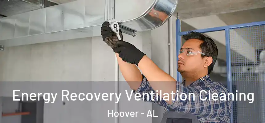 Energy Recovery Ventilation Cleaning Hoover - AL