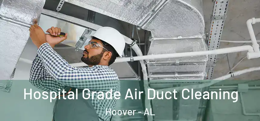 Hospital Grade Air Duct Cleaning Hoover - AL