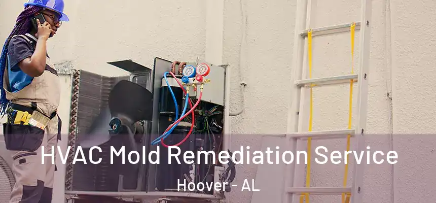 HVAC Mold Remediation Service Hoover - AL