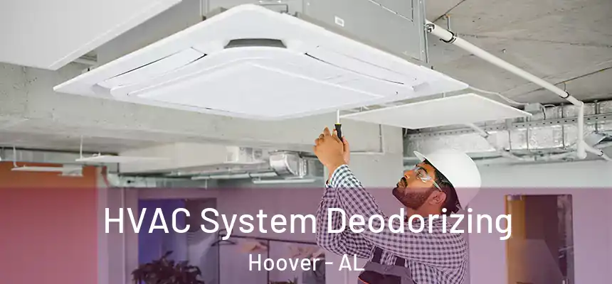 HVAC System Deodorizing Hoover - AL