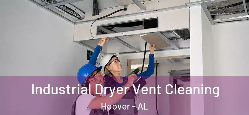 Industrial Dryer Vent Cleaning Hoover - AL
