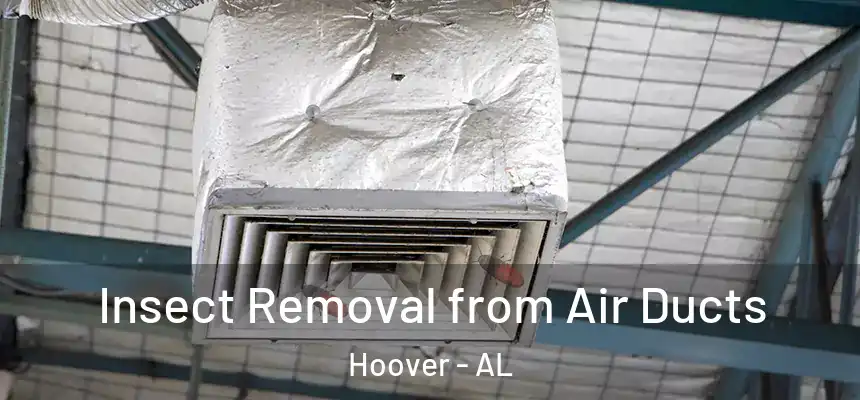 Insect Removal from Air Ducts Hoover - AL