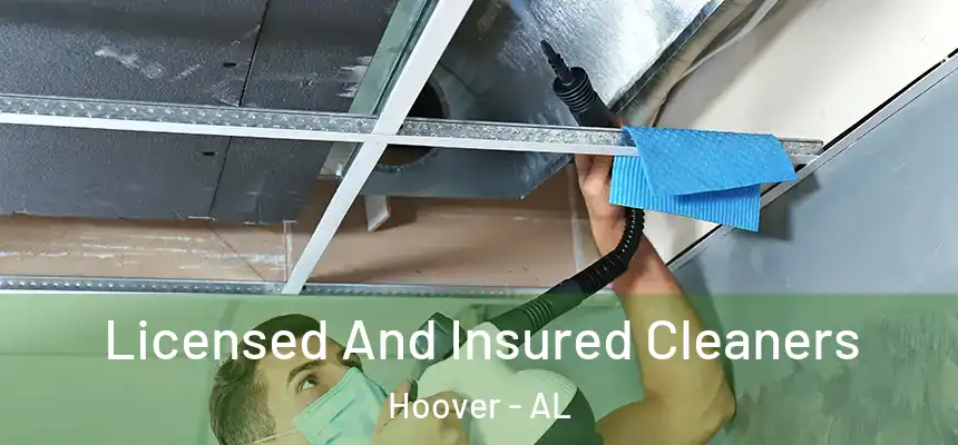 Licensed And Insured Cleaners Hoover - AL