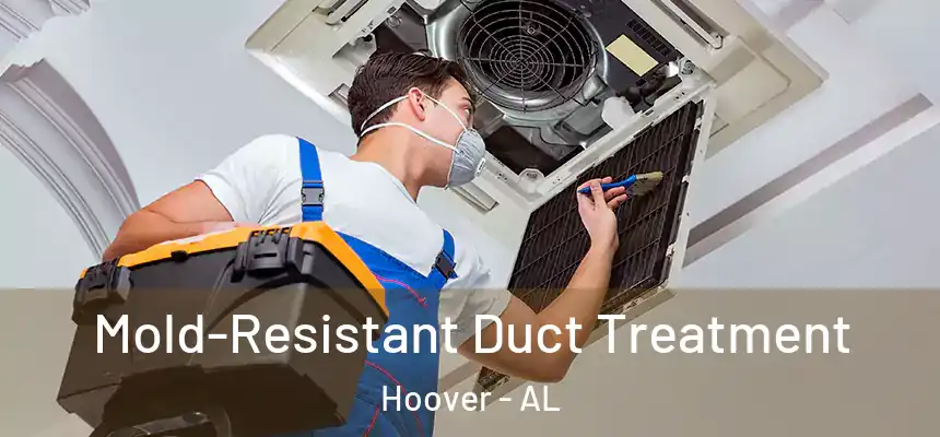Mold-Resistant Duct Treatment Hoover - AL