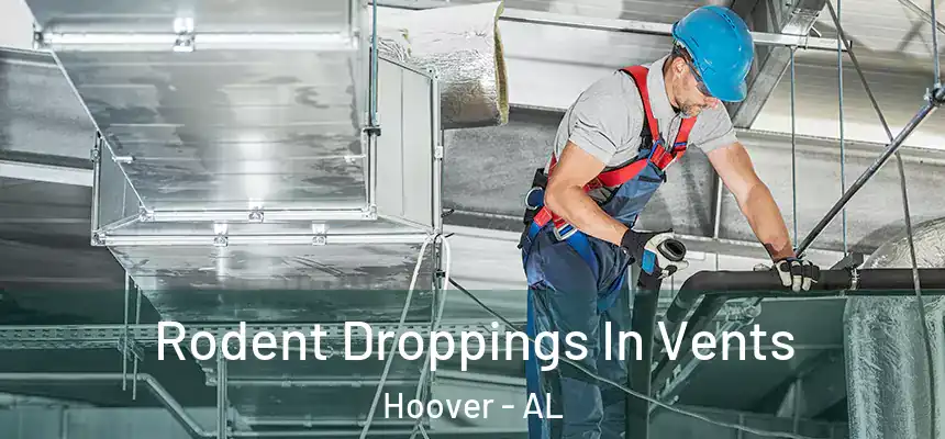 Rodent Droppings In Vents Hoover - AL