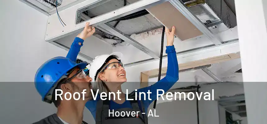 Roof Vent Lint Removal Hoover - AL