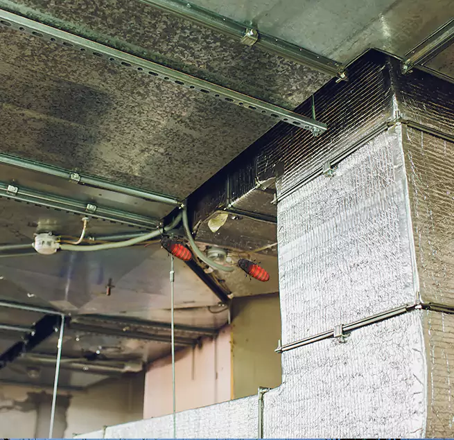 Why Homeowners & Businesses Trust Us in Hoover, AL?