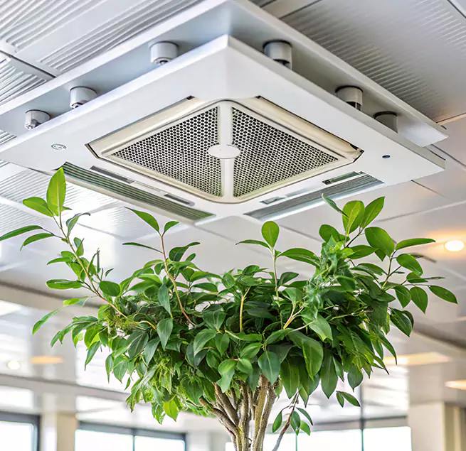 Why Homeowners & Businesses Trust Us in Hoover, AL