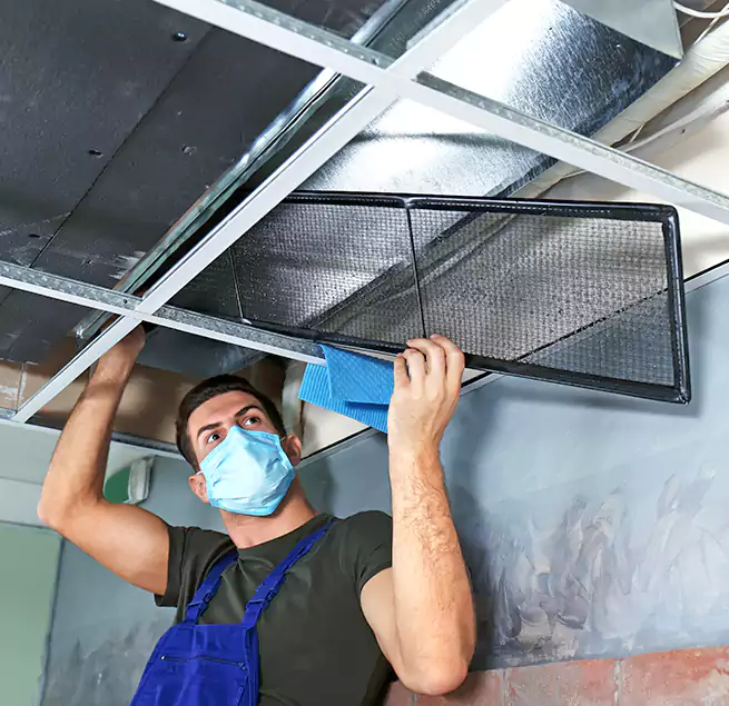 Why Homeowners Businesses Trust Us in Hoover, AL